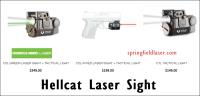 Springfield Laser image 1